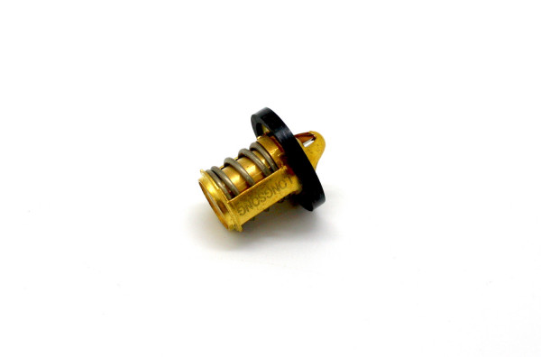 A090205 Thermostat Peugeot LC.JPG